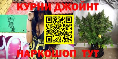 прущие грибы Гусев