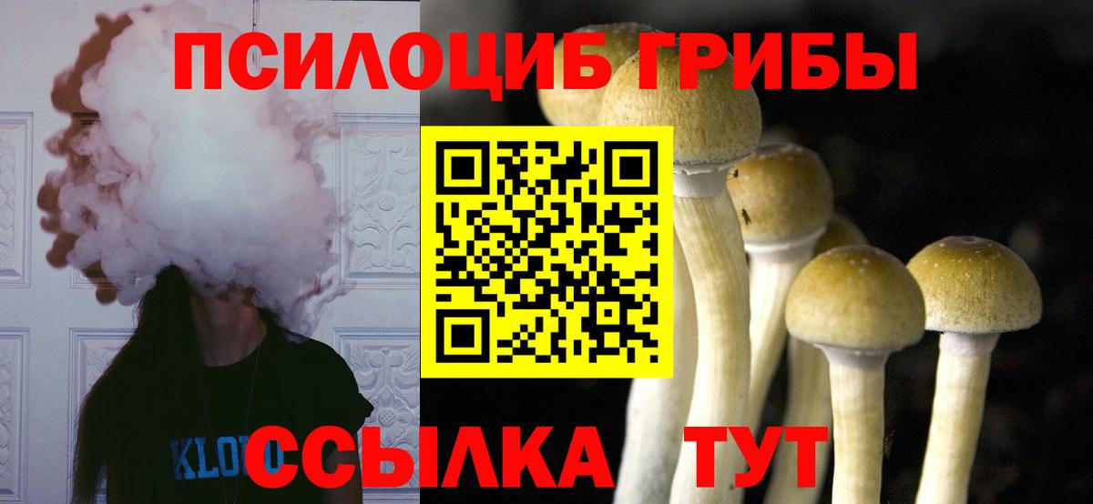 Галлюциногенные грибы GOLDEN TEACHER Мытищи
